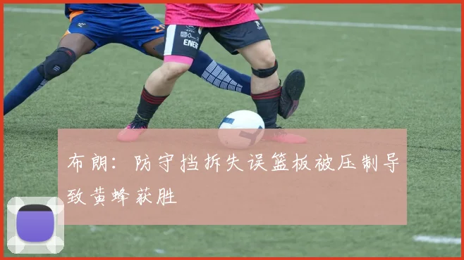 布朗：防守挡拆失误篮板被压制导致黄蜂获胜