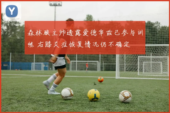 森林狼主帅透露爱德华兹已参与训练 右膝炎症恢复情况仍不确定