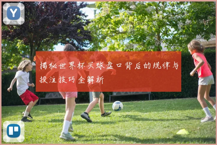 揭秘世界杯买球盘口背后的规律与投注技巧全解析