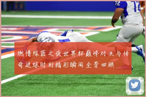 燃情绿茵之夜世界杯巅峰对决与传奇进球时刻精彩瞬间全景回顾