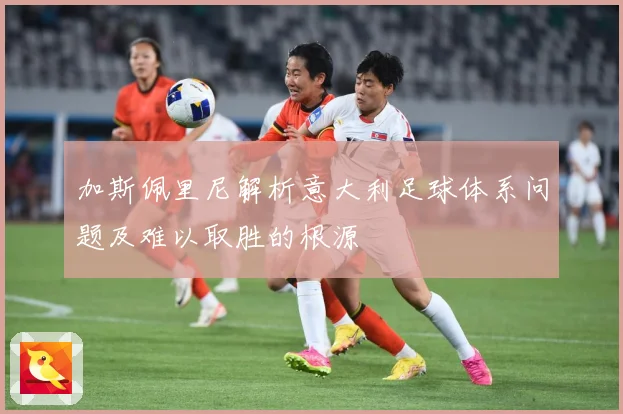 加斯佩里尼解析意大利足球体系问题及难以取胜的根源