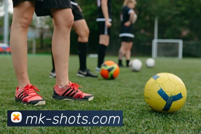 MK体育平台展示图